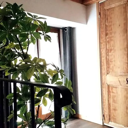 Le Paisible - Gare - Duplex - Garage Prive - Netflix Daire
