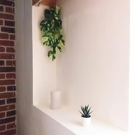 Apartamento Le Paisible - Gare - Duplex - Garage Prive - Netflix Grenoble