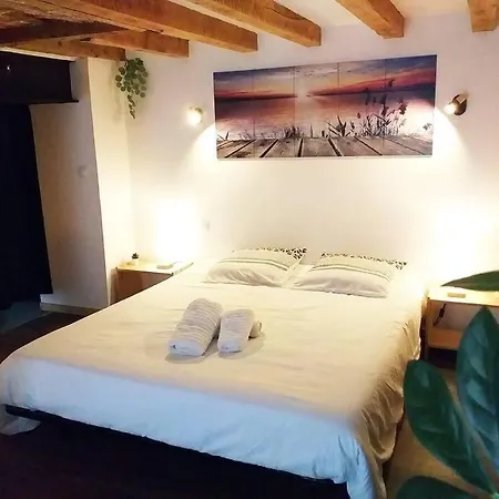 Le Paisible - Gare - Duplex - Garage Privé - Netflix