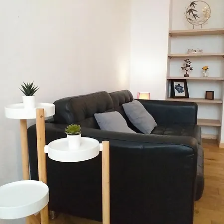 Apartamento Le Paisible - Gare - Duplex - Garage Prive - Netflix