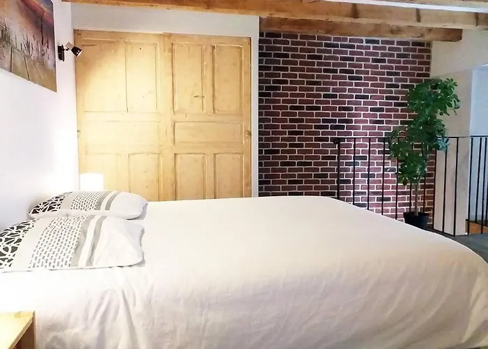 Le Paisible - Gare - Duplex - Garage Prive - Netflix Grenoble