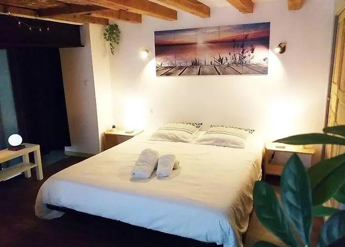 Le Paisible - Gare - Duplex - Garage Prive - Netflix